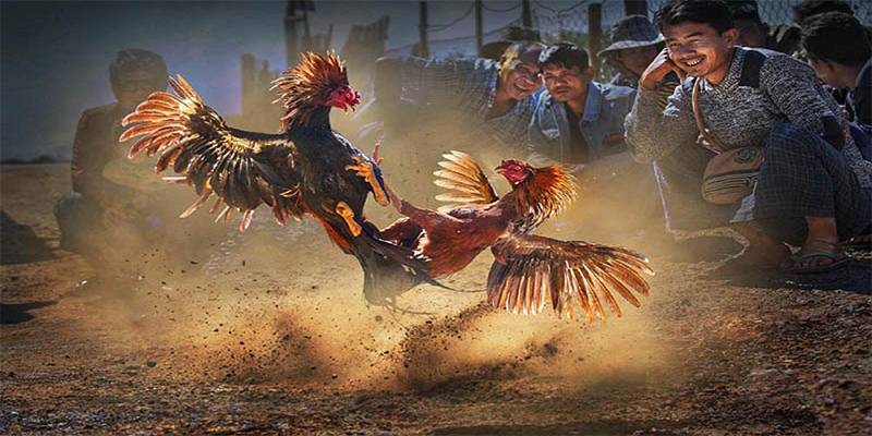 kuwin1 chơi bắn cá đổi thưởng