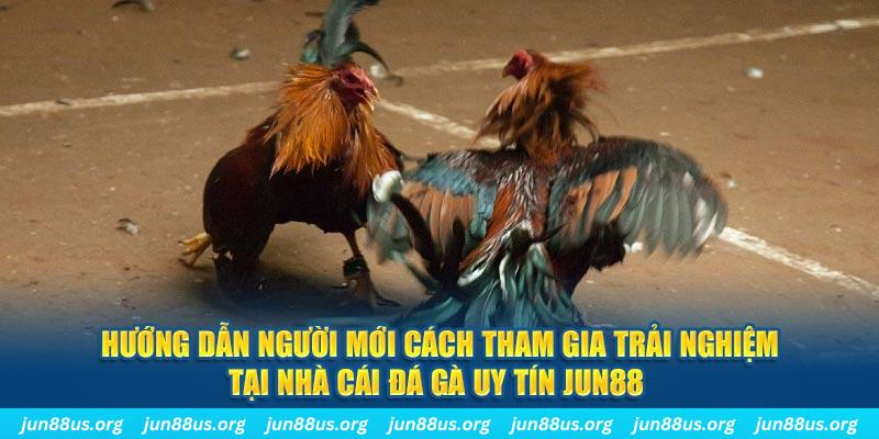 kuwin1 CQ9 Điện Tử