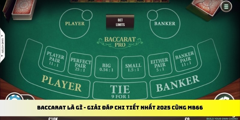 kuwin1 gà chọi cu cần