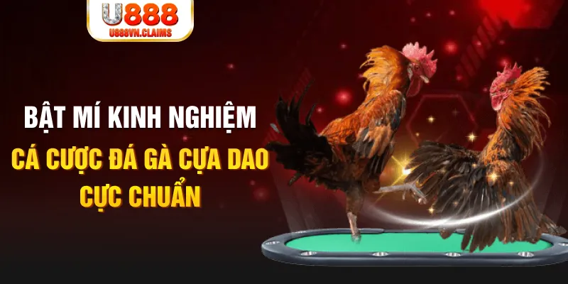 kuwin1 tỷ lệ cá cược châu á là gì