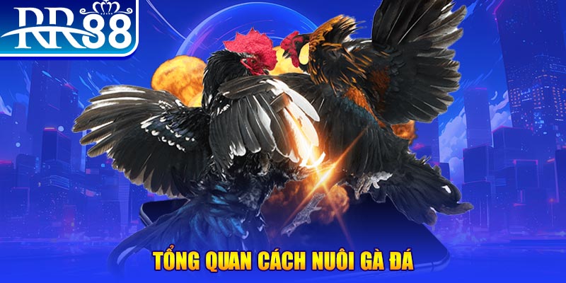 kuwin1 VA Điện Tử