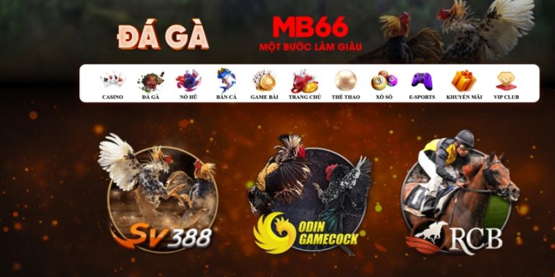 kuwin1 đăng nhập poker số 1