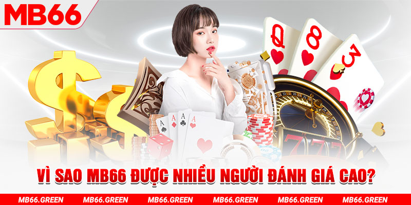 kuwin1 đá gà