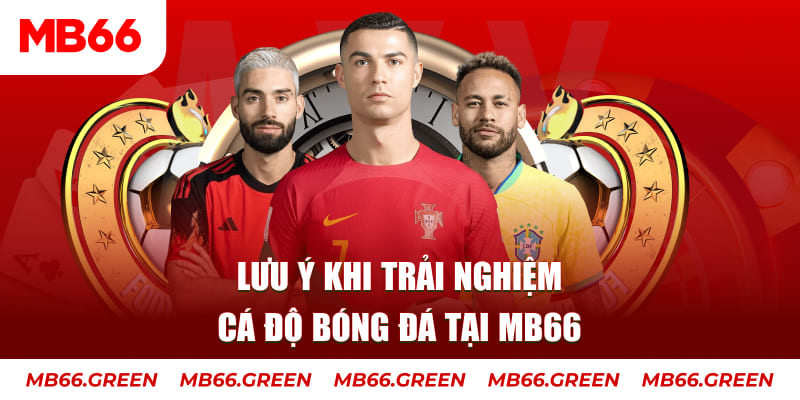 kuwin1 cá cược là gì