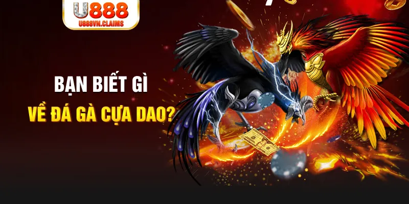 kuwin1 nổ hủ là gì