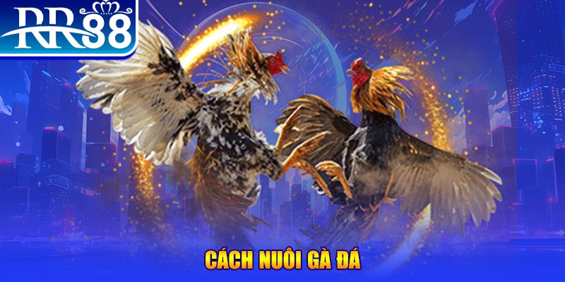 kuwin1 xổ số an giang