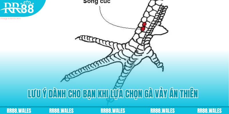 kuwin1 xổ số đồng nai