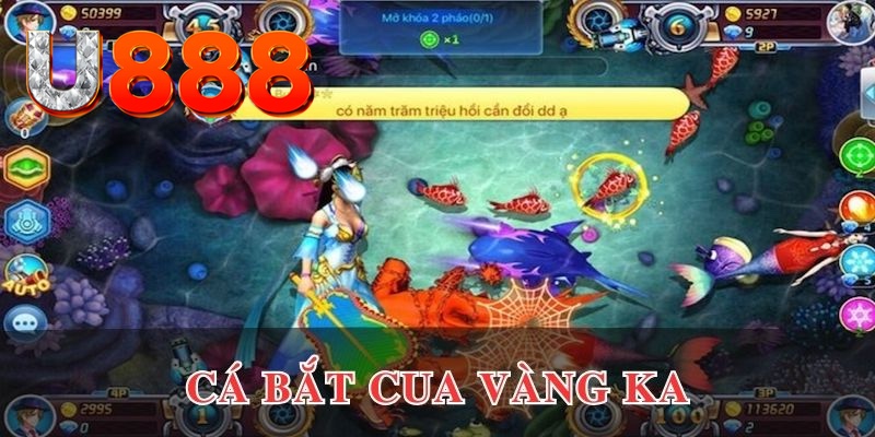 kuwin1 kết quả xổ số hôm nay