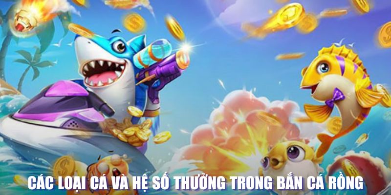 kuwin1 đăng nhập sòng bạc mới nhất