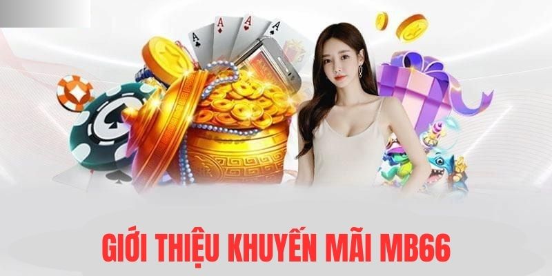 kuwin1 Đĩa màu ace