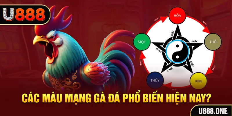 kuwin1 trực tiếp đá gà 88