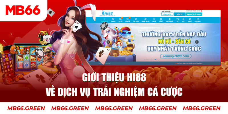 kuwin1 ga choi hoa phong