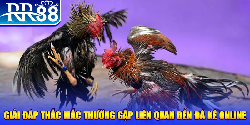 kuwin1 slot machine là gì