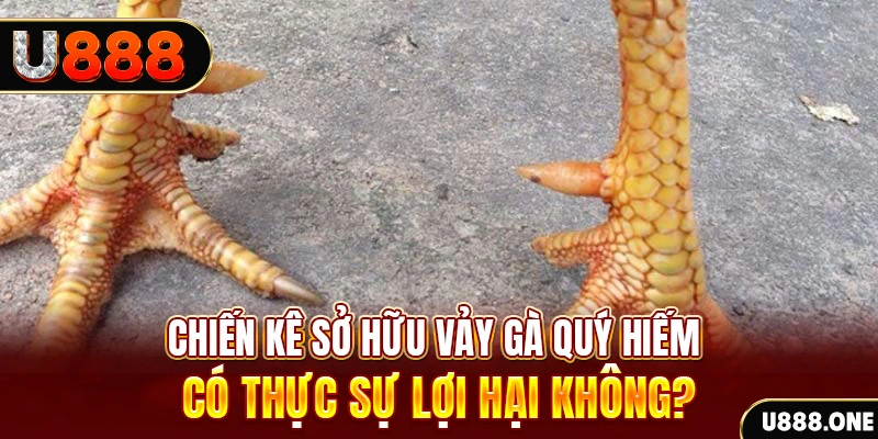 kuwin1 nohu .mx nổ hủ là gì