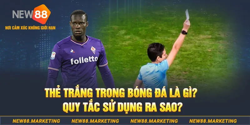 kuwin1 gà chọi mộc hóa