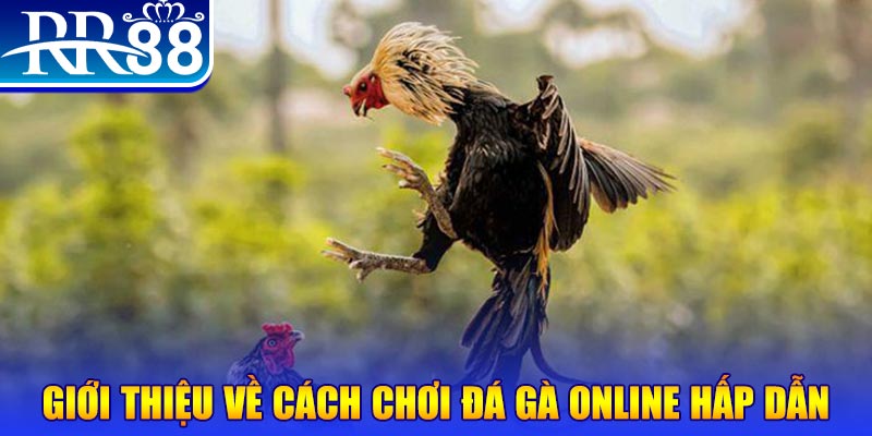 kuwin1 game nổ hũ rút tiền mặt là gì