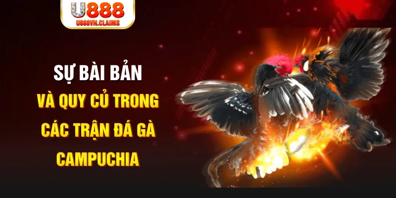kuwin1 YGR Điện Tử