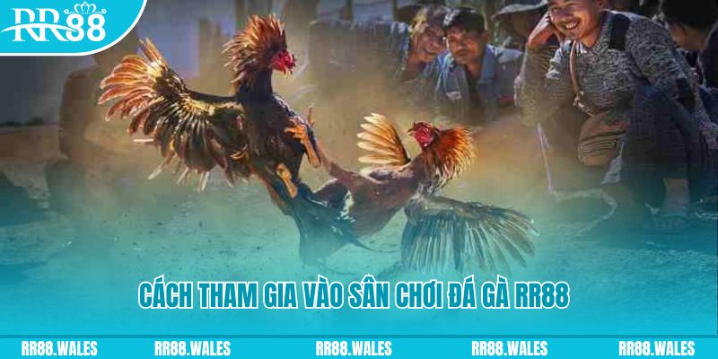 kuwin1 chơi nổ hũ kiêng kỵ gì