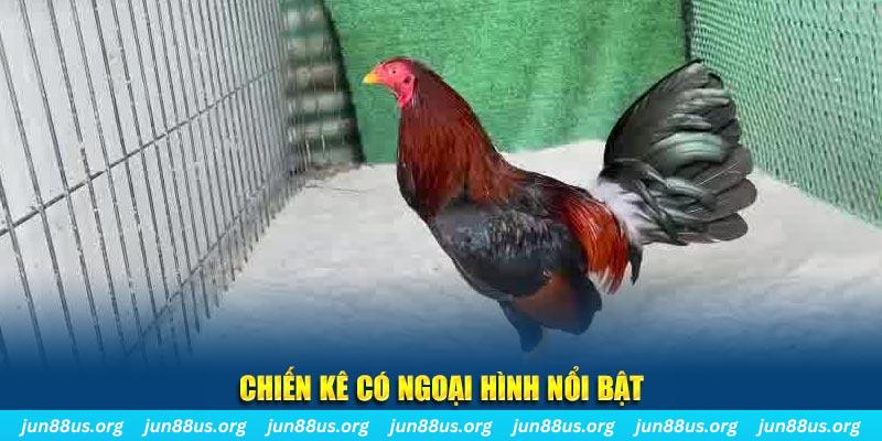 kuwin1 chạy quảng cáo cho game bài bị phạt như thế nào