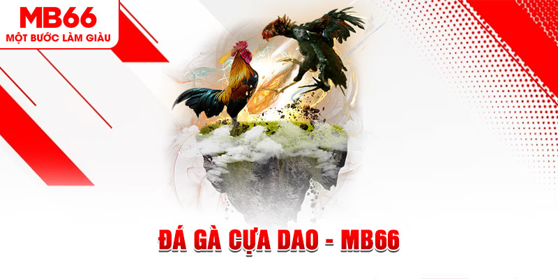 kuwin1 đá gà sv388 gold