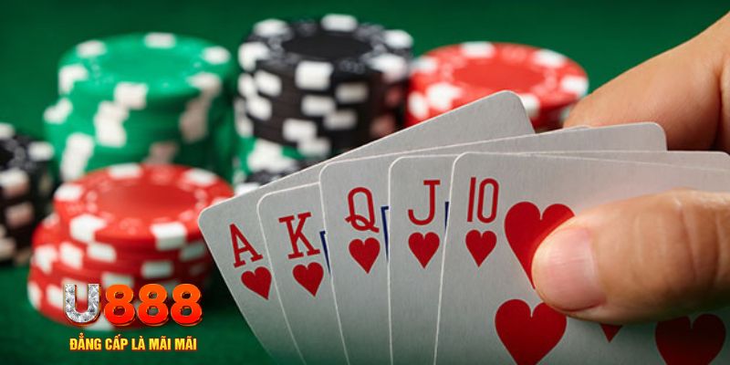 kuwin1 đá gà trực tiếp thomo 67