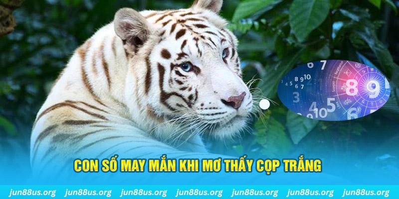kuwin1 đá gà trực tiếp 88